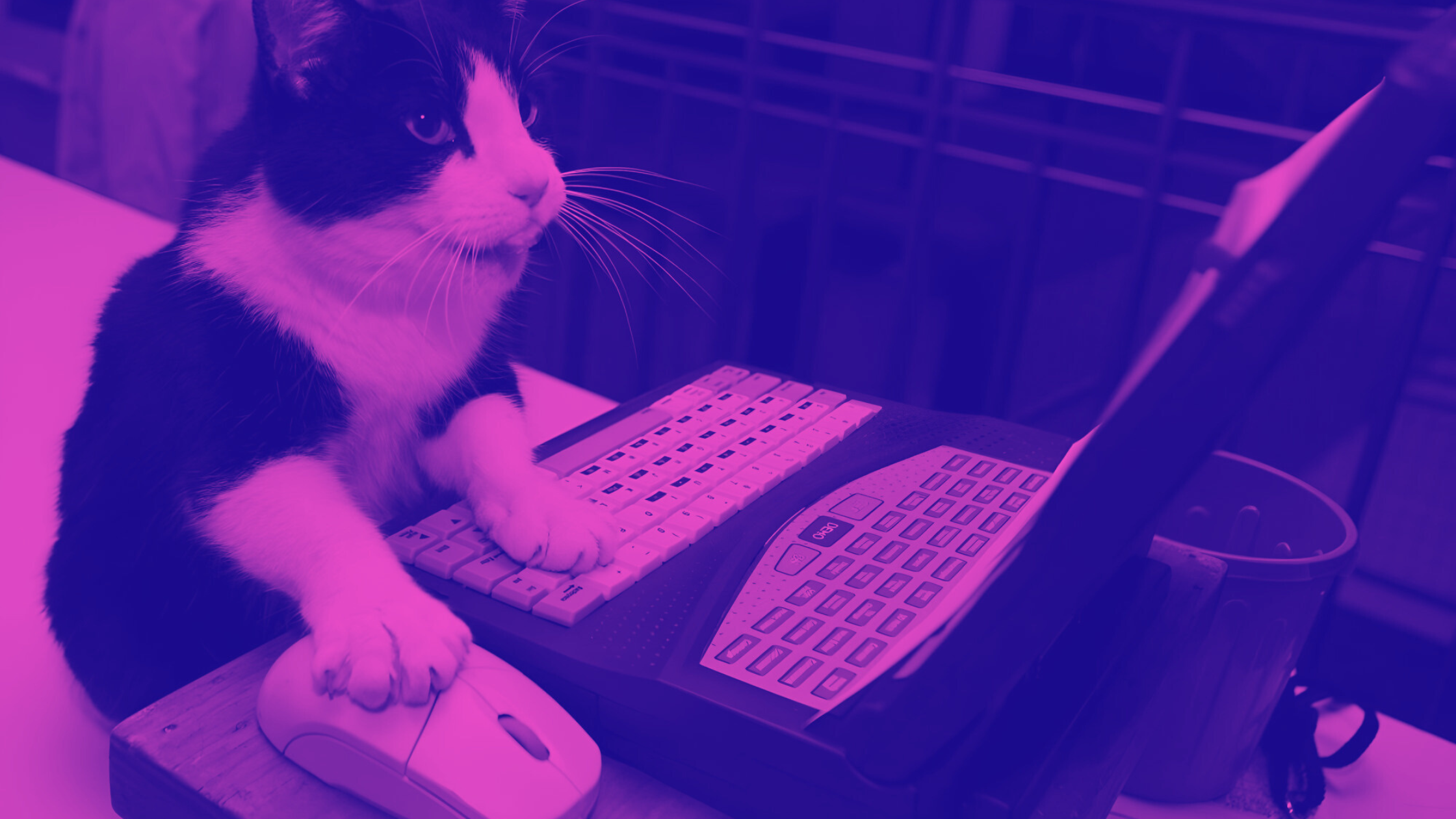 Diferencias (y similitudes) entre redactar y escribir